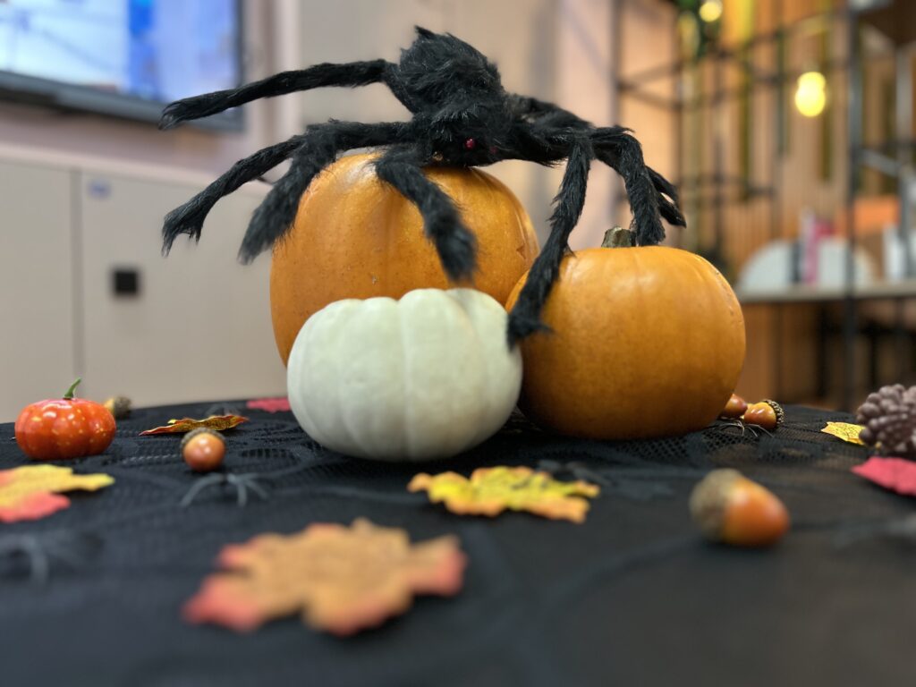 Spider and pumpkins in the showroom to celebrate Halloween.