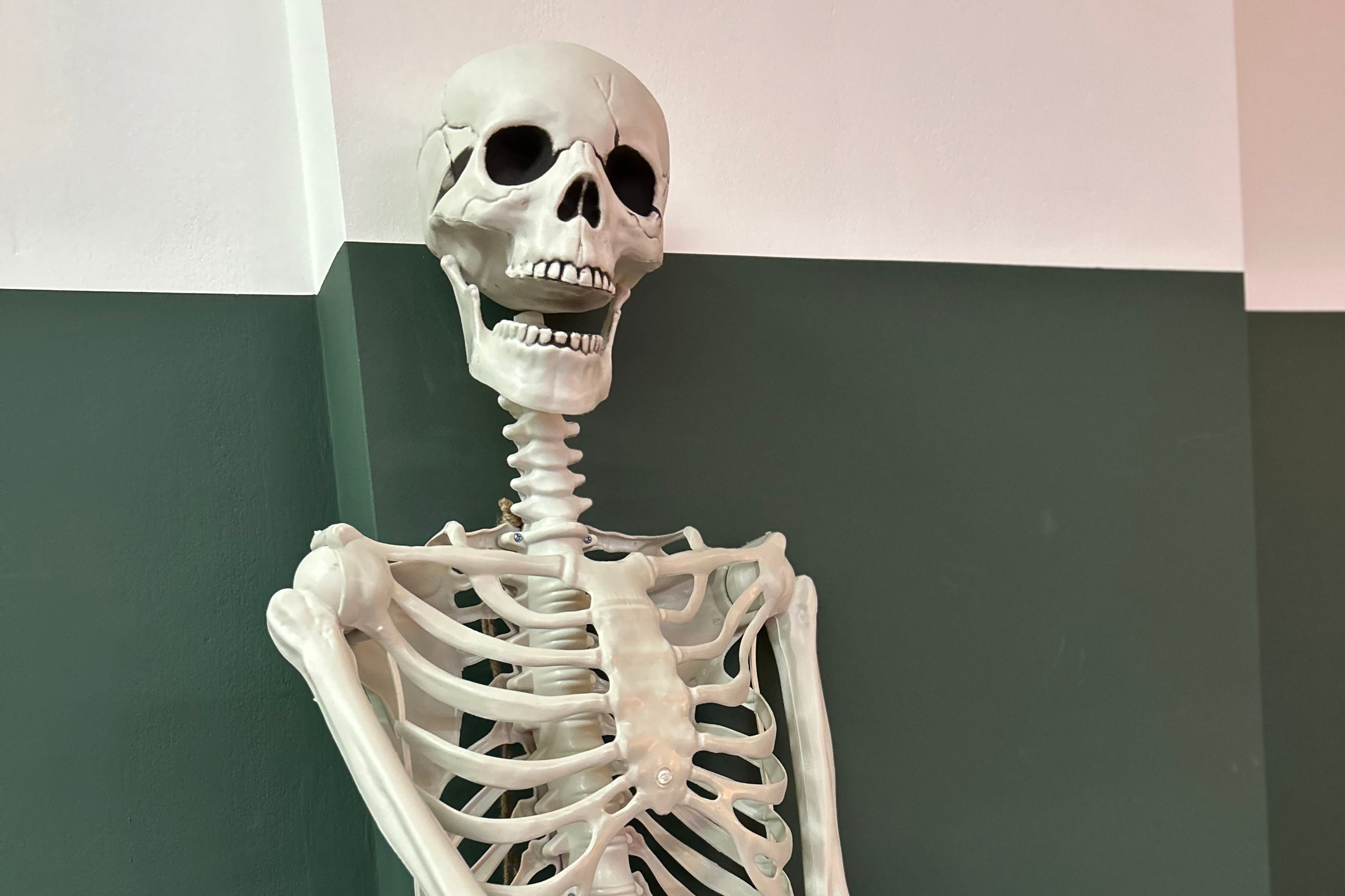 Skeleton decoration in the Your Workspace showroom.